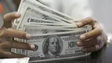 البنوك المصرية