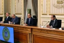 كفاءة الأداء الحكومي