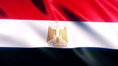 اللوجستيات