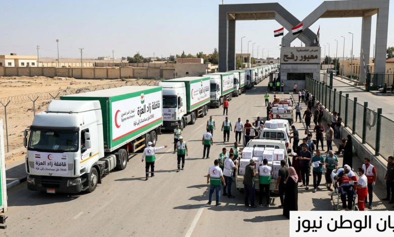 الهلال الأحمر المصري: قافلة «زاد العزة» تنقل 3500 طن مساعدات إلى غزة وتواصل دعم الجرحى عبر معبر رفح 1 الهلال الأحمر