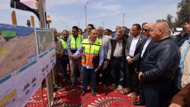 كامل الوزير