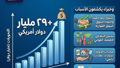 قفزة تاريخية في تحويلات المصريين بالخارج تتجاوز 29 مليار دولار خلال 8 أشهر.. وخبراء يكشفون الأسباب 9 تحويلات