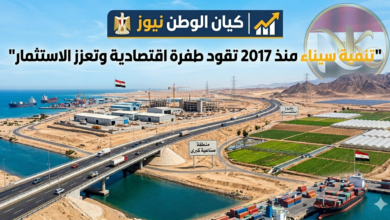 سيناء