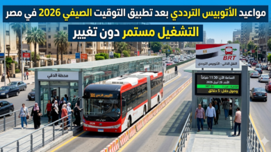 الاتوبيس الترددي