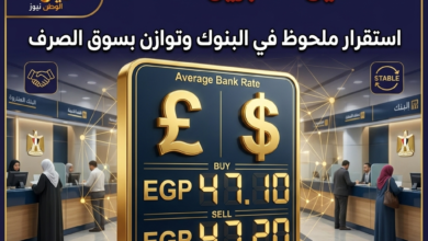 سعر الدولار اليوم في مصر الاثنين 27 أبريل 2026 9 سعر الدولار