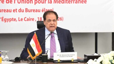 محمد ابو العنين