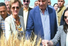 البحيرة ترسخ مكانتها الزراعية