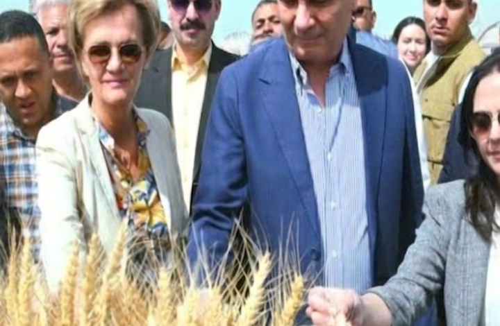 البحيرة ترسخ مكانتها الزراعية