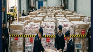 حملات رقابية مكثفة بالجيزة تضبط 10 أطنان من اللحوم والدواجن الفاسدة قبل عيد الأضحى