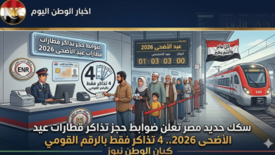 سكك حديد
