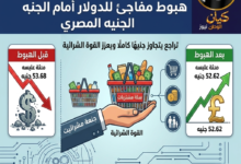 الجنيه المصري