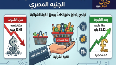الجنيه المصري