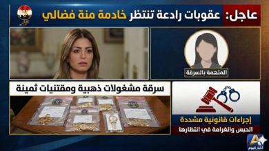 منة فضالي