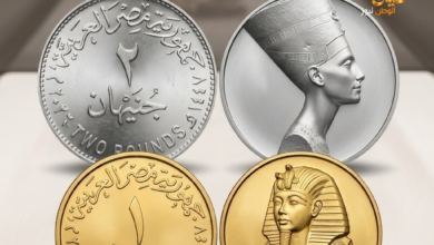 وزارة المالية