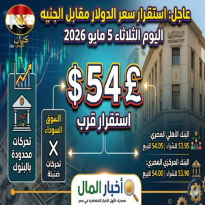 الدولار في مصر