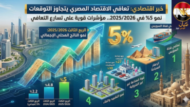 الاقتصاد المصري