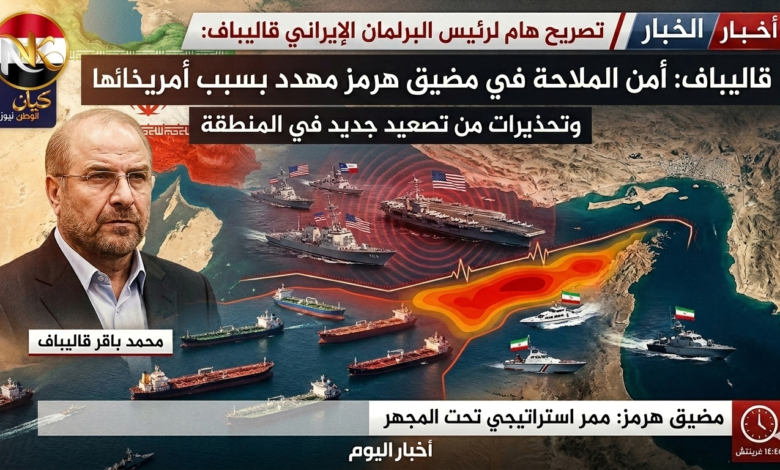 الملاحة