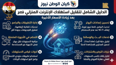 الإنترنت